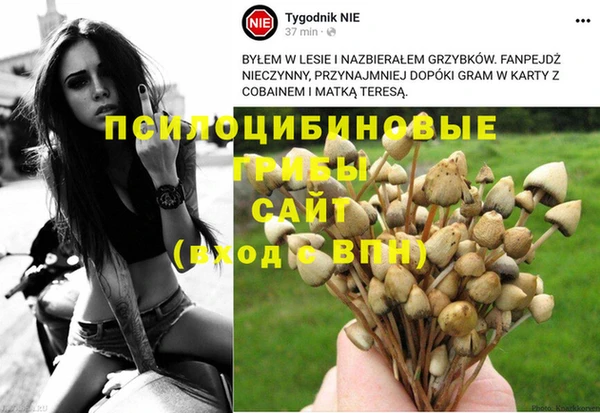 прущие крисы Абинск