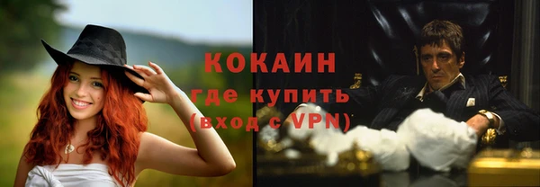 стаф Горняк