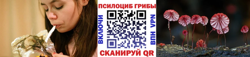 kraken как зайти  дарк нет состав  Псилоцибиновые грибы GOLDEN TEACHER  Сысерть 
